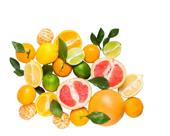 pexels citricos removebg preview